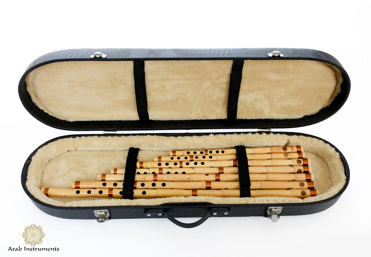 Egyptian ney set secured inside an open black hard case with cream plush lining