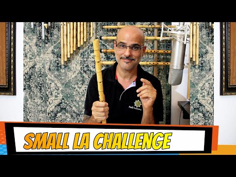 (Tuning Small La Mansur A) Ahmad Abd El Ghani Premium Arabic Ney