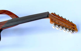 Professional Electric Oud #023A