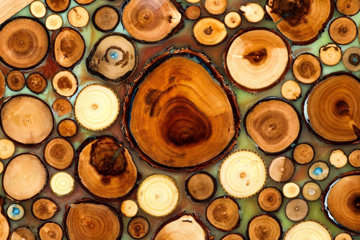 Superb Backgammon with Tree Branch Slices and Epoxy #AI11504turquoise