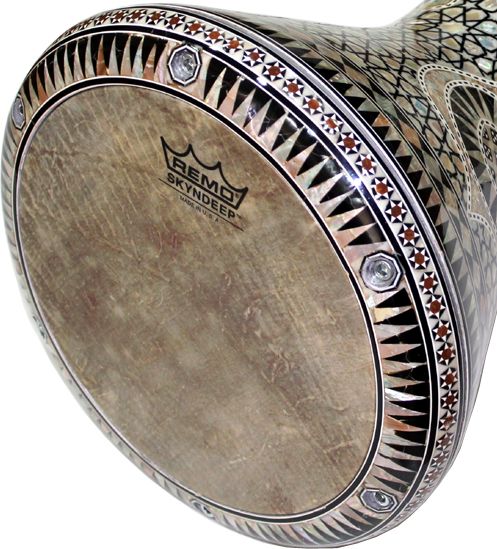 Remo Fish Skin for Doumbek / Darbuka 8 3/4" Diplomat Series
