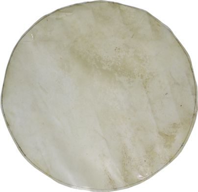 Natural Goat Skin for Darbuka / Doumbek 18"