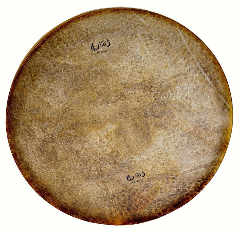 Premium Daf Made by HaPa #179