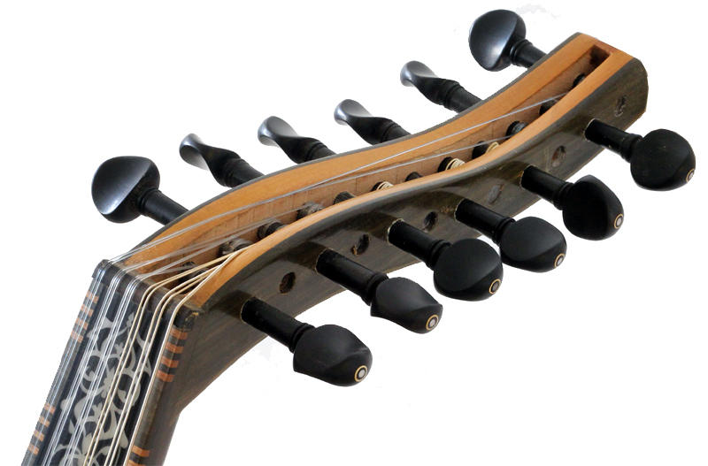 Set of 12 Professional Ebony Pegs for Oud