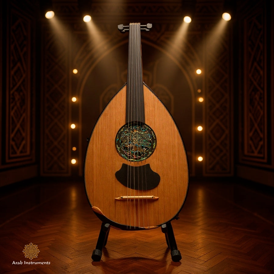 Semi Half Electric oud 
